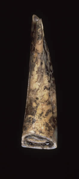 Cliquez pour fermer la fen&ecirc;tre